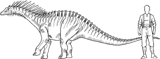 Иллюстрация к книге — Тайна дерева-храма [i_074.jpg]