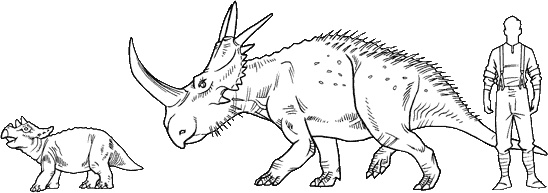 Иллюстрация к книге — Тайна дерева-храма [i_076.jpg]