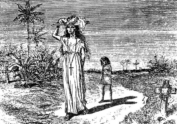 Иллюстрация к книге — Великая Парагвайская война [i_170.jpg]