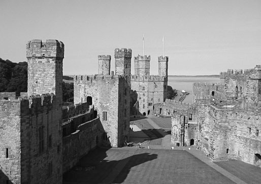 Иллюстрация к книге — Средневековый мир «Игры престолов» [i_016.jpg]