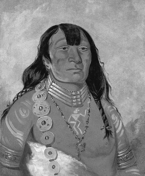 Иллюстрация к книге — Индейские войны [i_011.jpg]