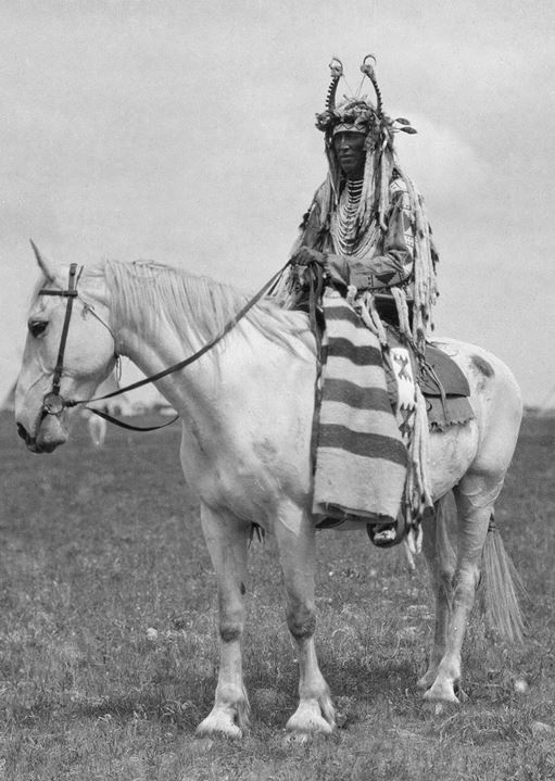 Иллюстрация к книге — Индейские войны [i_017.jpg]