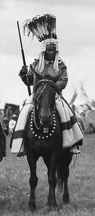 Иллюстрация к книге — Индейские войны [i_019.jpg]