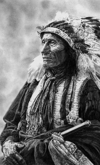 Иллюстрация к книге — Индейские войны [i_079.jpg]