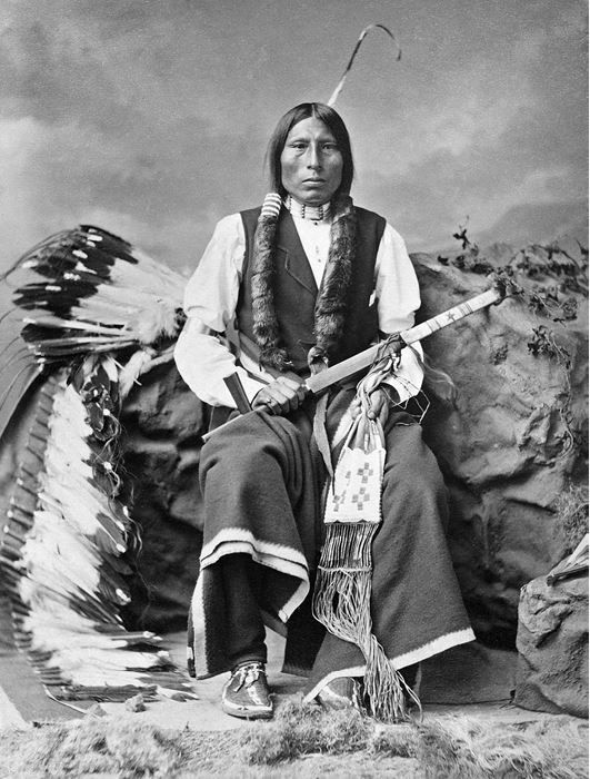 Иллюстрация к книге — Индейские войны [i_086.jpg]