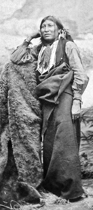 Иллюстрация к книге — Индейские войны [i_107.jpg]