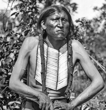 Иллюстрация к книге — Индейские войны [i_112.jpg]