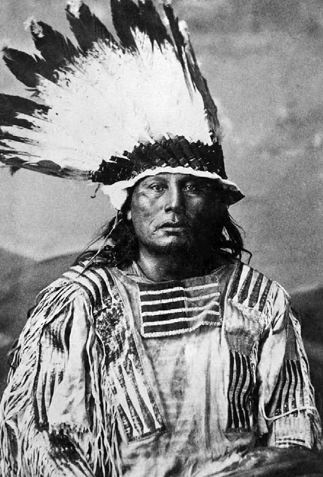 Иллюстрация к книге — Индейские войны [i_127.jpg]