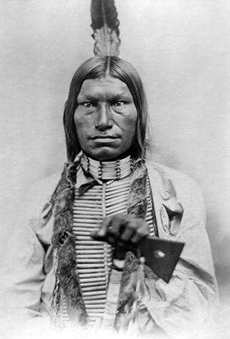 Иллюстрация к книге — Индейские войны [i_128.jpg]