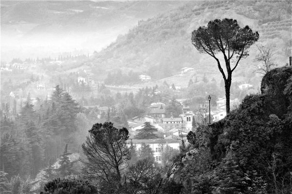 Иллюстрация к книге — Вкус итальянской осени [i_013.jpg]