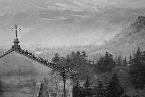 Иллюстрация к книге — Вкус итальянской осени [i_014.jpg]