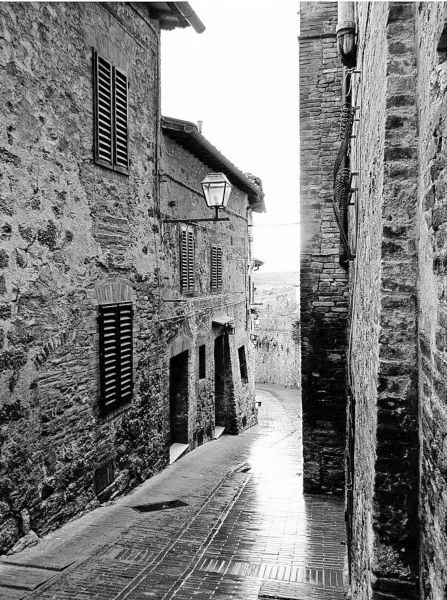 Иллюстрация к книге — Вкус итальянской осени [i_015.jpg]