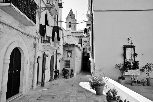 Иллюстрация к книге — Вкус итальянской осени [i_037.jpg]