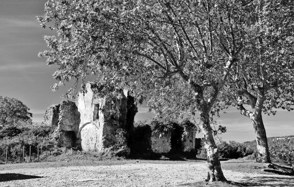 Иллюстрация к книге — Вкус итальянской осени [i_045.jpg]