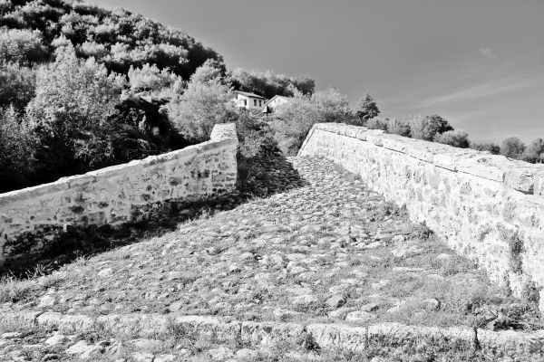 Иллюстрация к книге — Вкус итальянской осени [i_047.jpg]