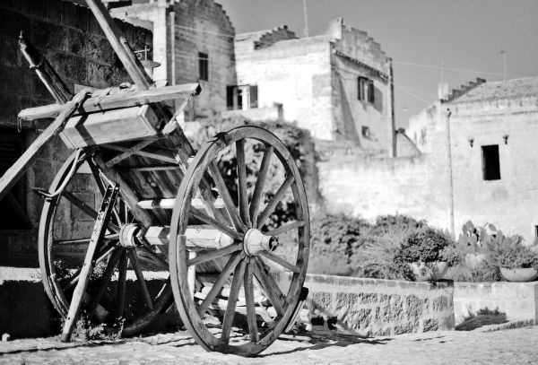 Иллюстрация к книге — Вкус итальянской осени [i_048.jpg]