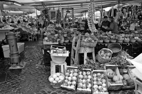 Иллюстрация к книге — Вкус итальянской осени [i_057.jpg]