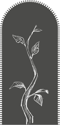 Иллюстрация к книге — Страшные истории для рассказа в темноте [i_001.jpg]