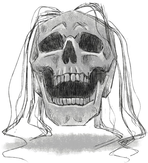 Иллюстрация к книге — Страшные истории для рассказа в темноте [i_008.jpg]