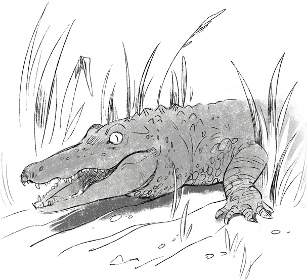 Иллюстрация к книге — Страшные истории для рассказа в темноте [i_010.jpg]