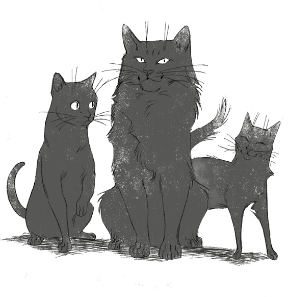 Иллюстрация к книге — Страшные истории для рассказа в темноте [i_016.jpg]