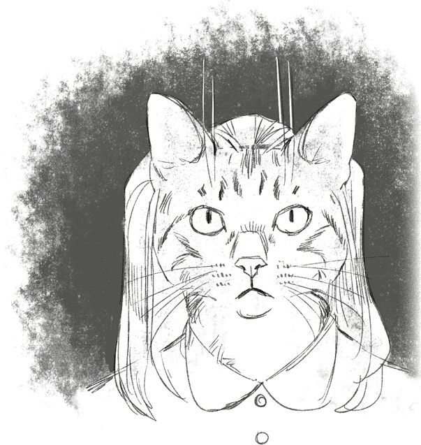 Иллюстрация к книге — Страшные истории для рассказа в темноте [i_023.jpg]