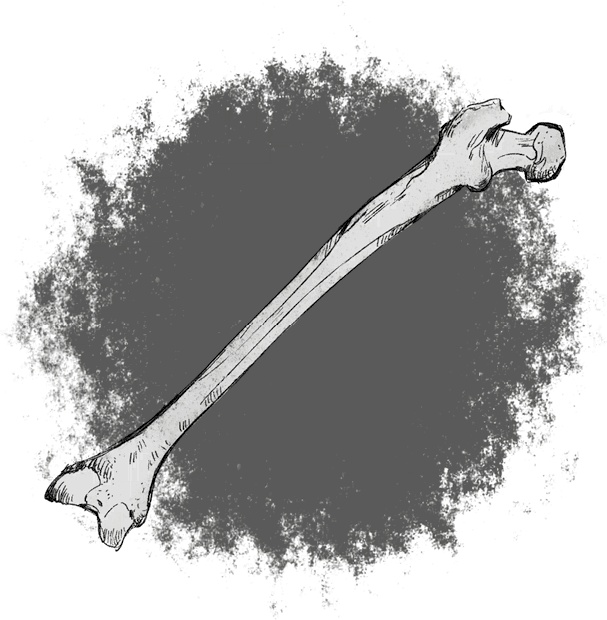 Иллюстрация к книге — Страшные истории для рассказа в темноте [i_029.jpg]