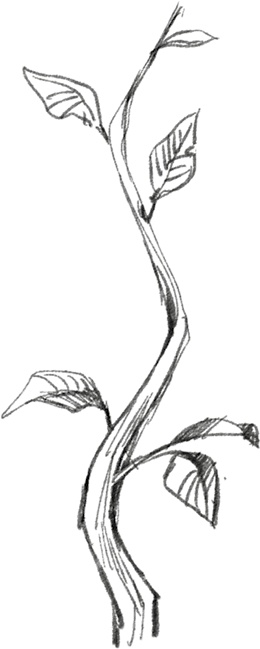 Иллюстрация к книге — Страшные истории для рассказа в темноте [i_033.jpg]