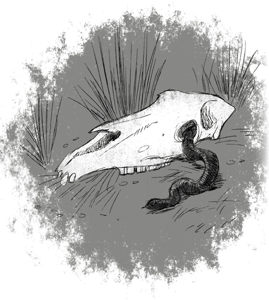 Иллюстрация к книге — Страшные истории для рассказа в темноте [i_040.jpg]