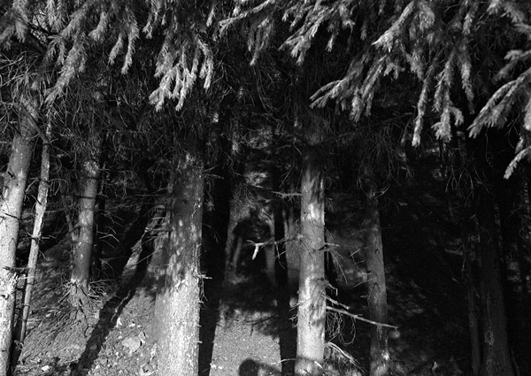 Иллюстрация к книге — Учись слушать. Серфинг на радиоволне [i_016.jpg]