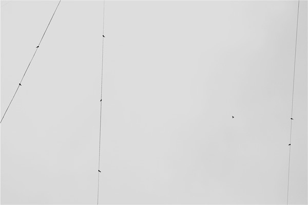 Иллюстрация к книге — Учись слушать. Серфинг на радиоволне [i_019.jpg]