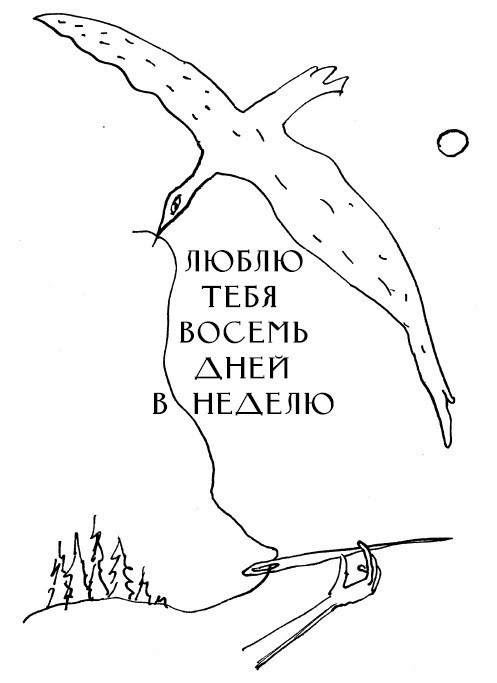 Иллюстрация к книге — Между нами только ночь [i_005.jpg]