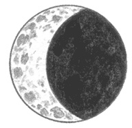 Иллюстрация к книге — Семь сестер [i_004.jpg]