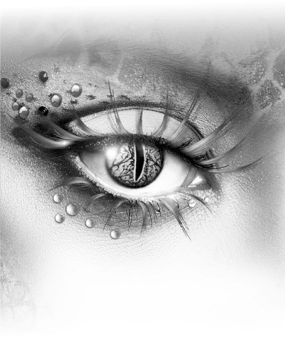 Иллюстрация к книге — Рождение дракона [i_001.jpg]