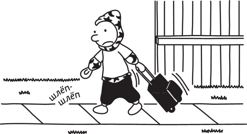 Иллюстрация к книге — Полоса невезения [i_291.jpg]