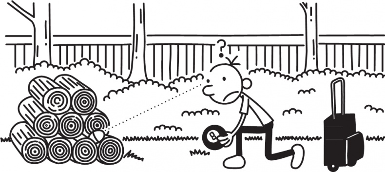 Иллюстрация к книге — Полоса невезения [i_346.jpg]