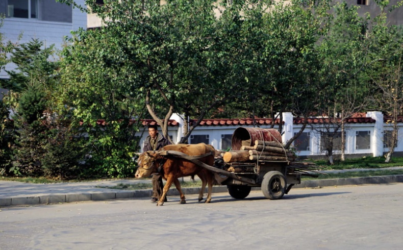 Иллюстрация к книге — Спросите у северокорейца. Бывшие граждане о жизни внутри самой закрытой страны мира [i_006.jpg]