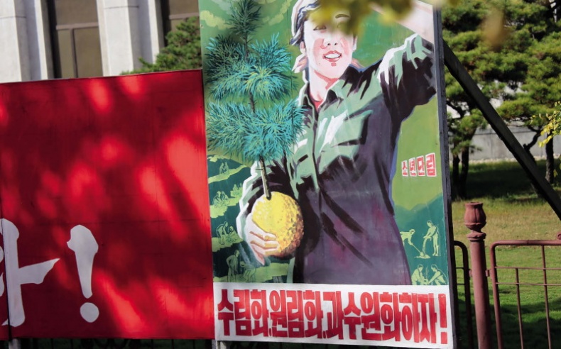 Иллюстрация к книге — Спросите у северокорейца. Бывшие граждане о жизни внутри самой закрытой страны мира [i_028.jpg]