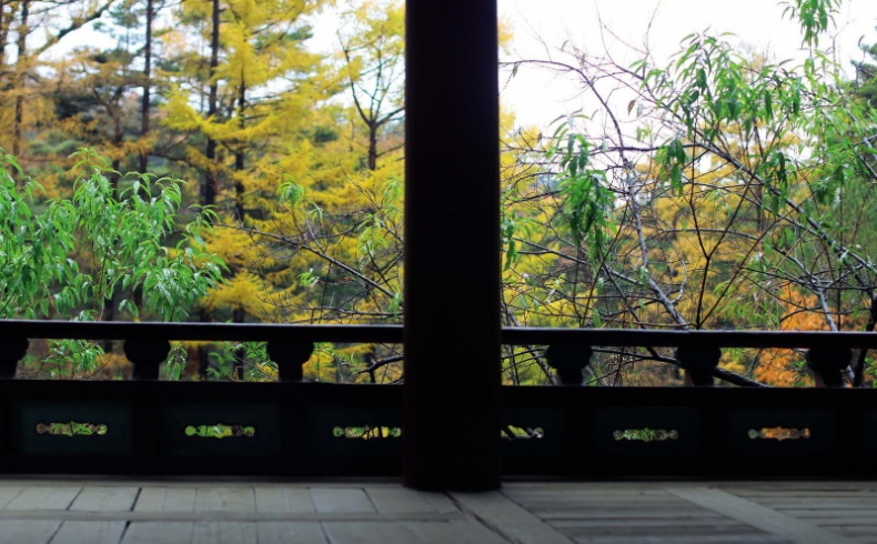 Иллюстрация к книге — Спросите у северокорейца. Бывшие граждане о жизни внутри самой закрытой страны мира [i_045.jpg]