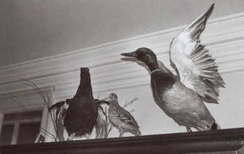 Иллюстрация к книге — Николай Некрасов [i_061.jpg]