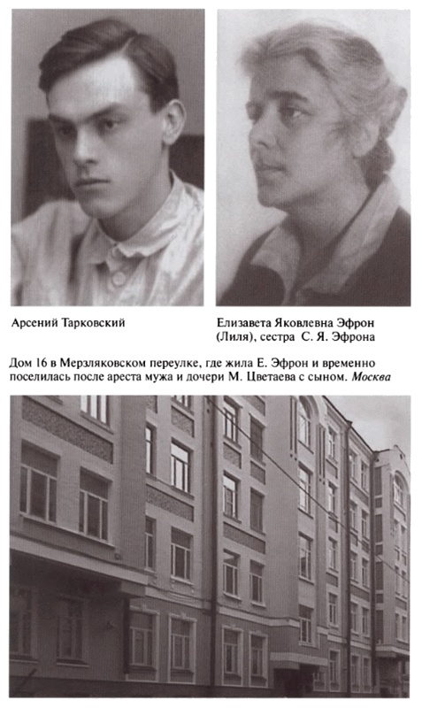 Иллюстрация к книге — Марина Цветаева. Твоя неласковая ласточка [i_041.jpg]