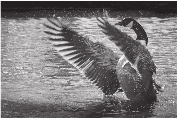 Иллюстрация к книге — 42 истории для менеджера, или Сказки на ночь от Генри Минцберга [i_004.jpg]