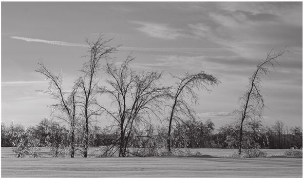Иллюстрация к книге — 42 истории для менеджера, или Сказки на ночь от Генри Минцберга [i_011.jpg]