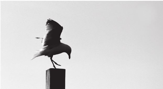 Иллюстрация к книге — 42 истории для менеджера, или Сказки на ночь от Генри Минцберга [i_018.jpg]