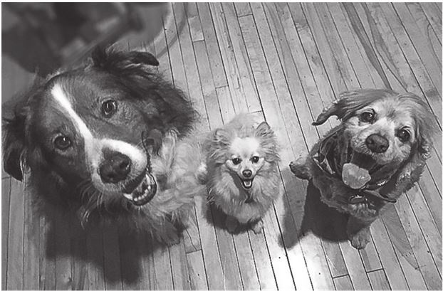 Иллюстрация к книге — 42 истории для менеджера, или Сказки на ночь от Генри Минцберга [i_021.jpg]