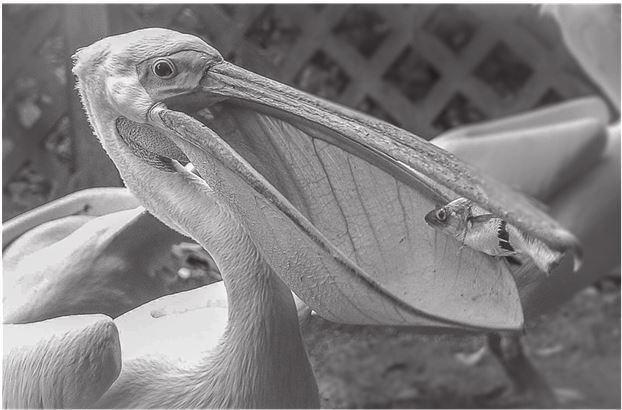 Иллюстрация к книге — 42 истории для менеджера, или Сказки на ночь от Генри Минцберга [i_033.jpg]