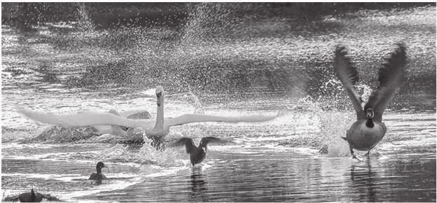 Иллюстрация к книге — 42 истории для менеджера, или Сказки на ночь от Генри Минцберга [i_039.jpg]