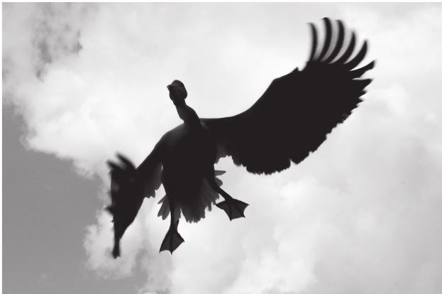 Иллюстрация к книге — 42 истории для менеджера, или Сказки на ночь от Генри Минцберга [i_040.jpg]