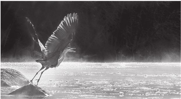 Иллюстрация к книге — 42 истории для менеджера, или Сказки на ночь от Генри Минцберга [i_046.jpg]