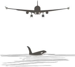 Иллюстрация к книге — Таинственное Рождество [i_005.jpg]